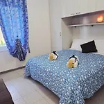 Il Delfino
