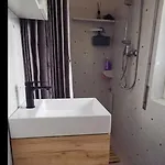 Il Delfino *