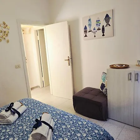 Il Delfino *